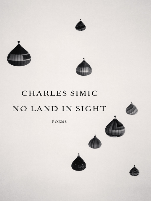 Cover image for No Land in Sight
